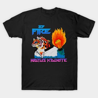 HIATUS KAIYOTE BAND T-Shirt